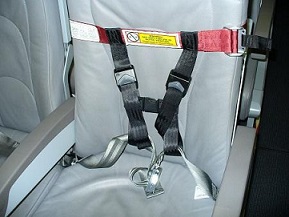CARES Airplane Safety Harness