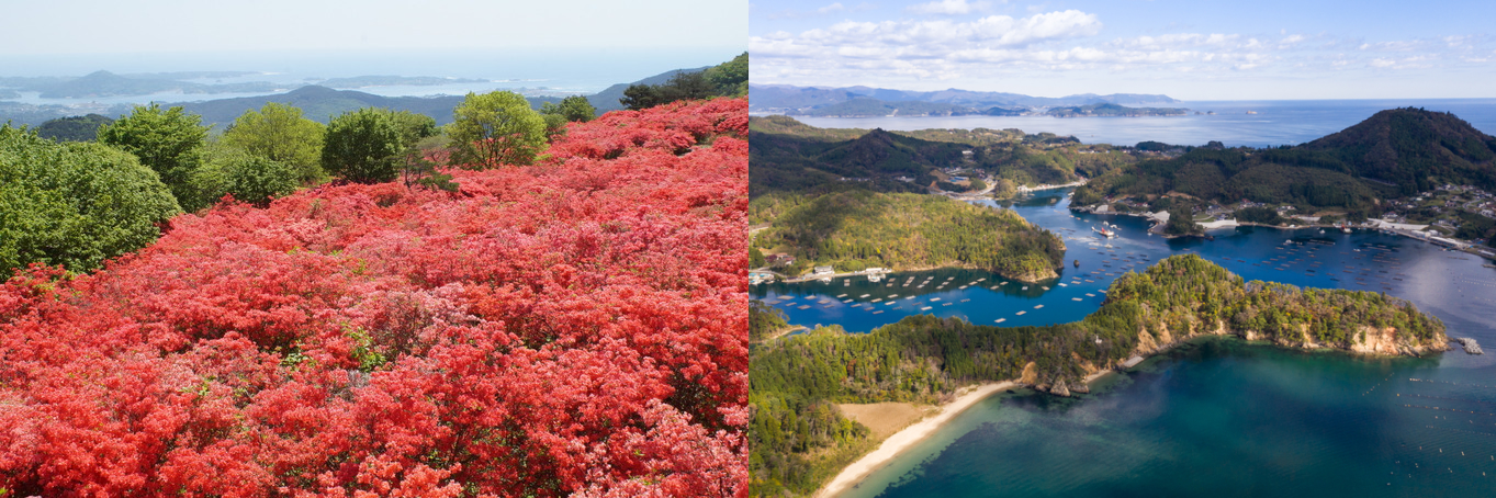 徳仙丈山気仙沼大島