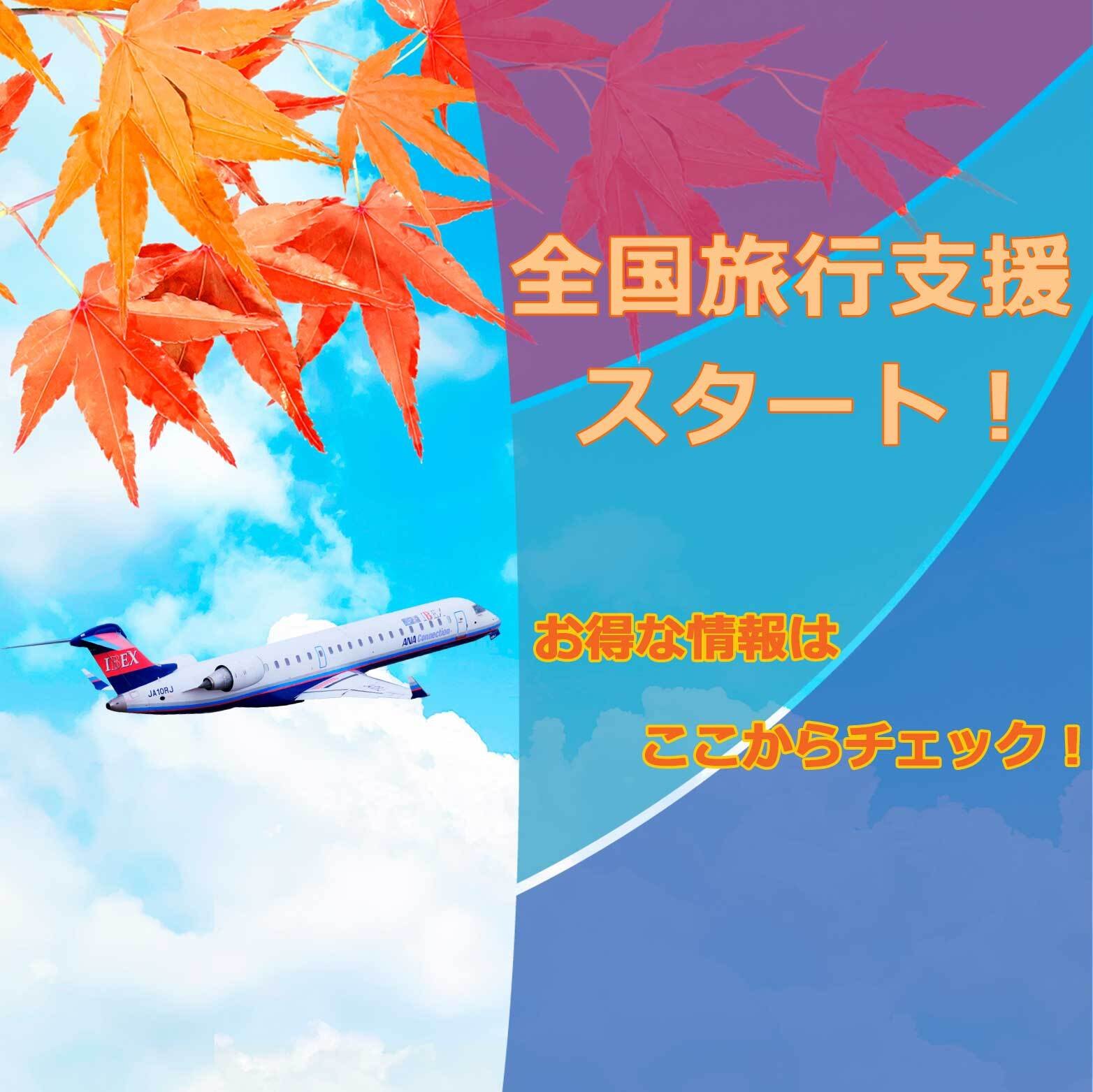公式 Ibexエアラインズ 航空券予約 空席照会 運賃案内