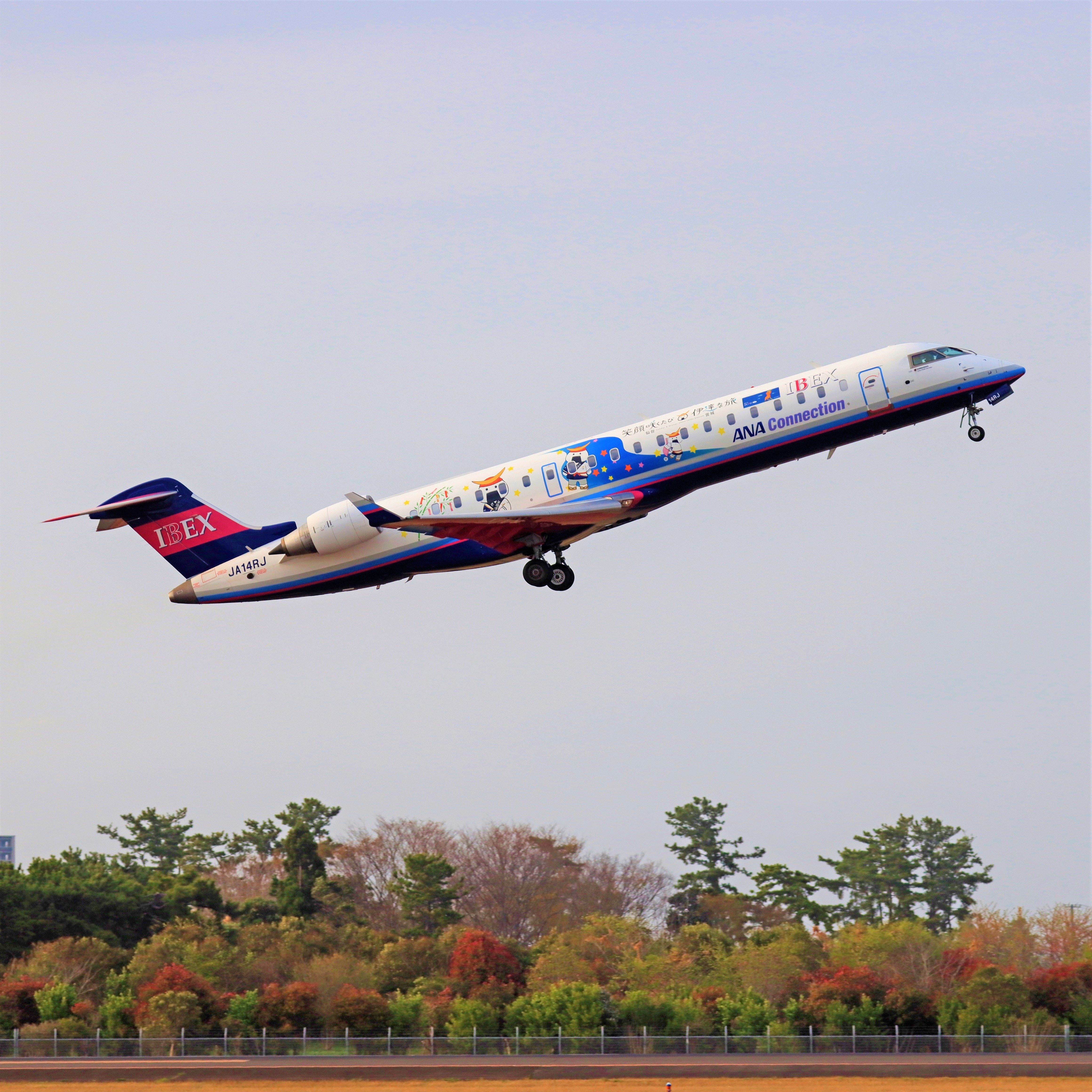 公式 Ibexエアラインズ 航空券予約 空席照会 運賃案内