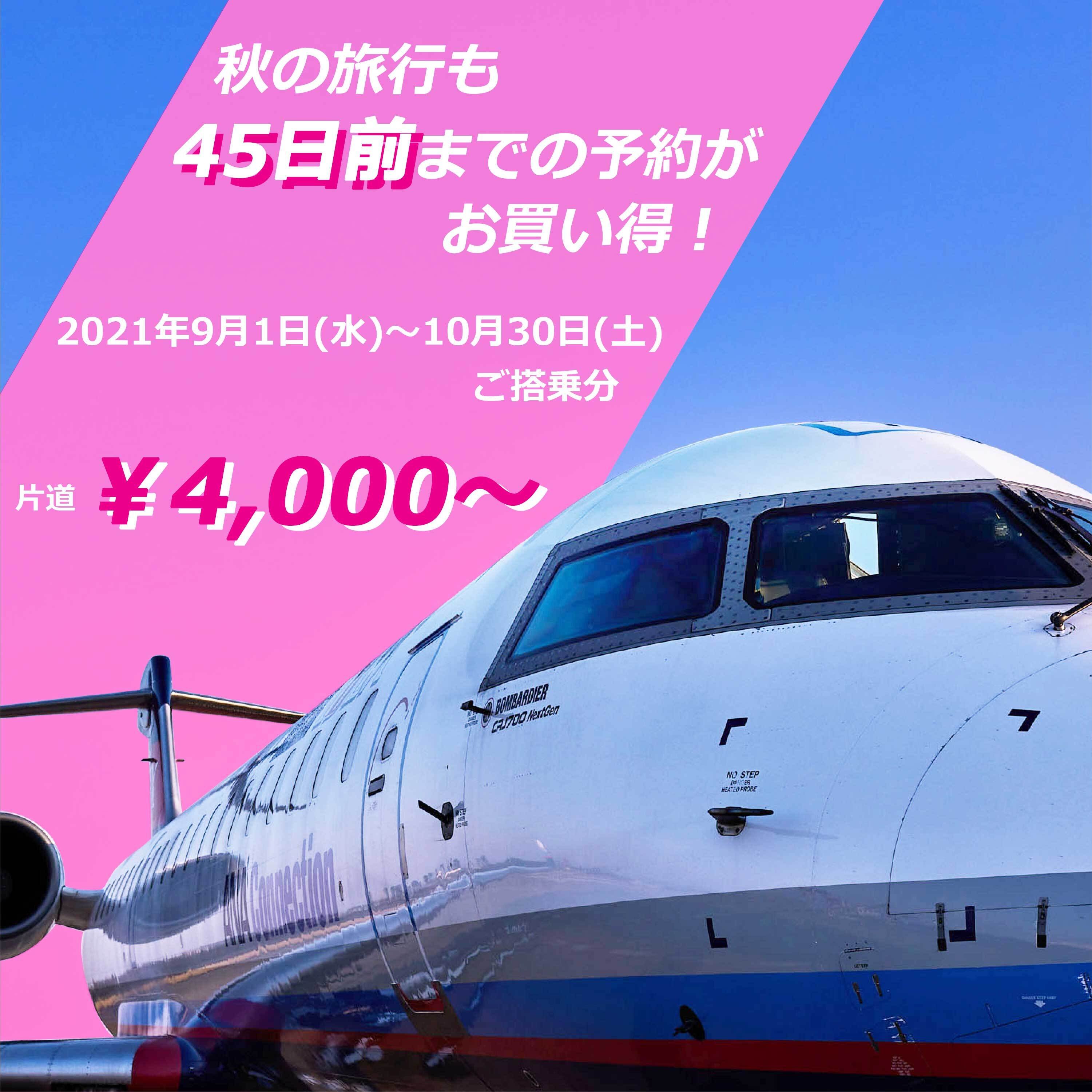公式 Ibexエアラインズ 航空券予約 空席照会 運賃案内