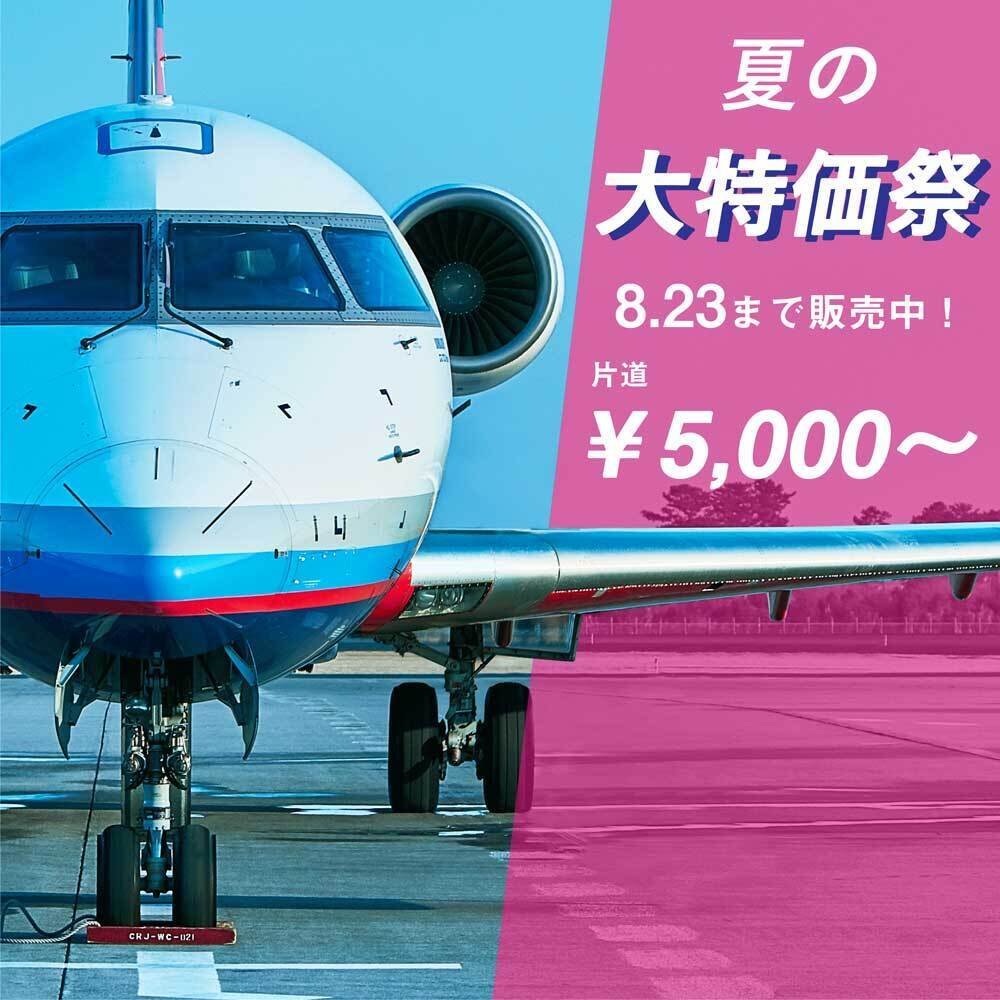 公式 Ibexエアラインズ 航空券予約 空席照会 運賃案内