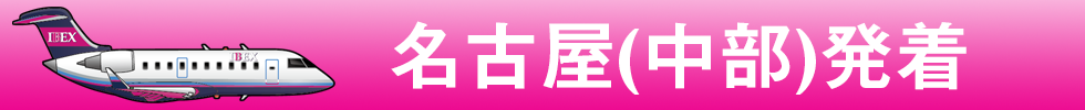名古屋(中部)発着 名古屋(中部)発着