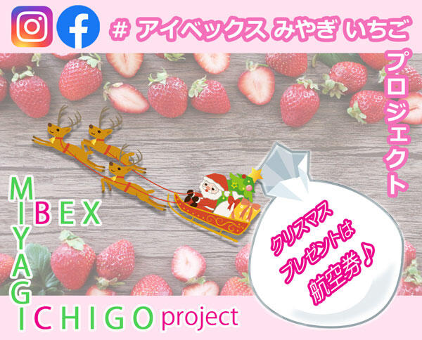 クリスマスプレゼントキャンペーン