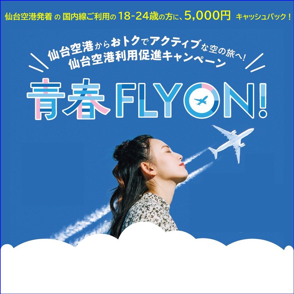 公式 Ibexエアラインズ 航空券予約 空席照会 運賃案内