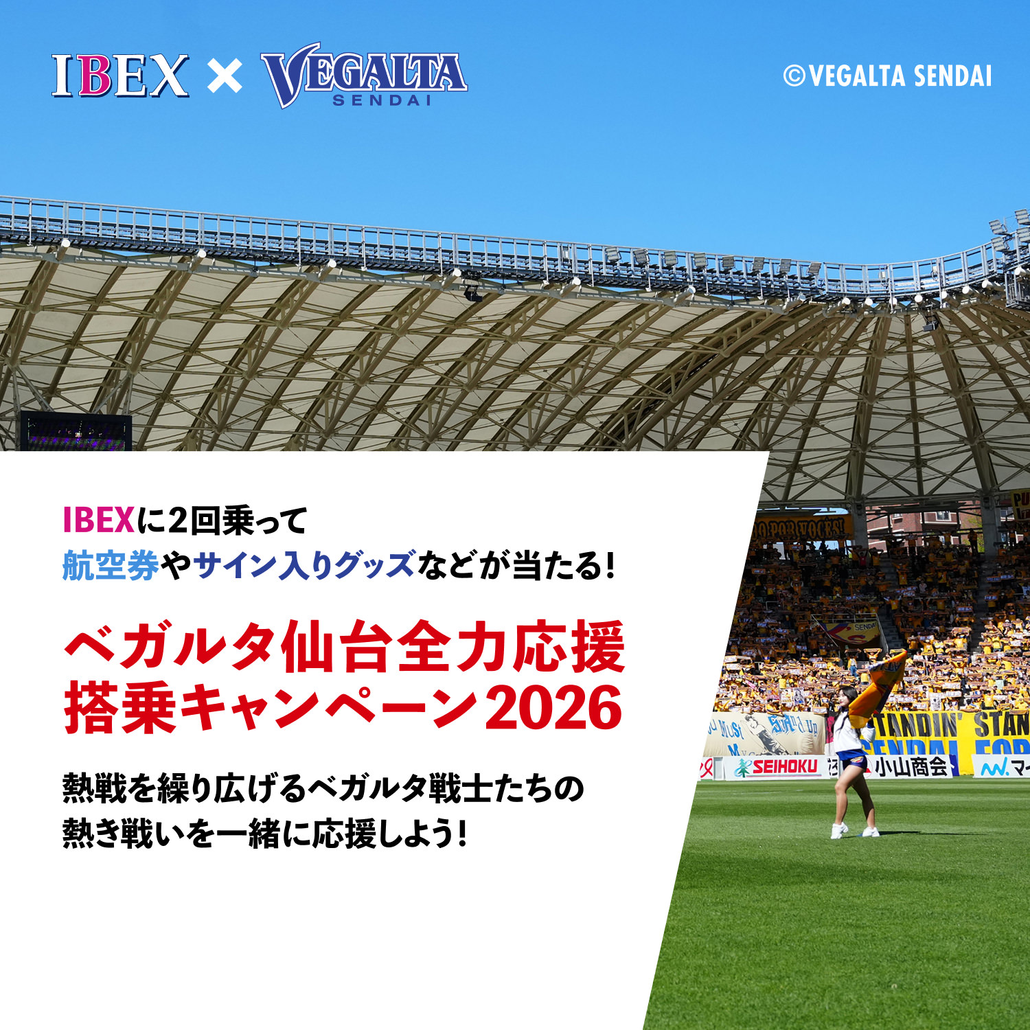 ベガルタ仙台全力応援搭乗キャンペーン2026｜IBEXエアラインズ