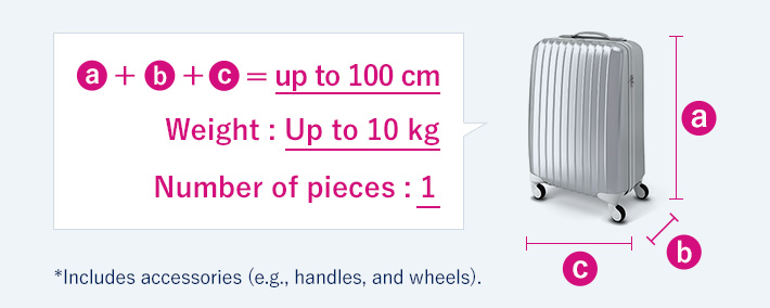 10 kg baggage
